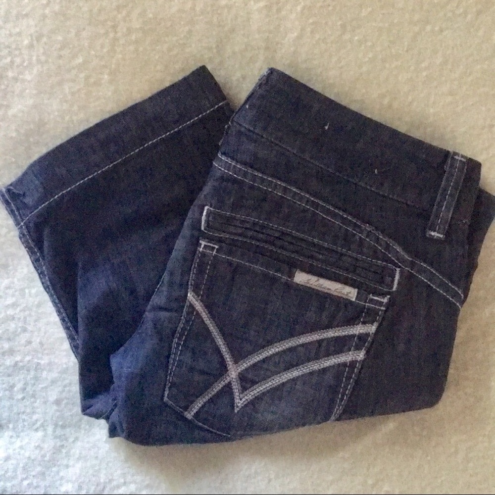 William Rast Lisa Long Short, size 26